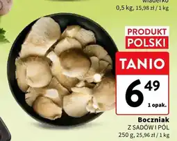 Intermarche Boczniak świeży Z Sadów i Pól oferta