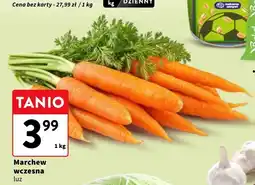 Intermarche Marchew wczesna oferta