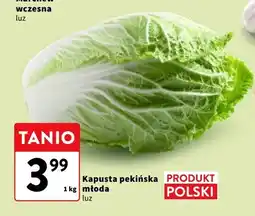 Intermarche Kapusta pekińska młoda oferta