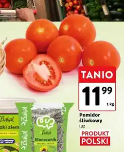 Intermarche Pomidor śliwkowy oferta