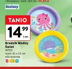 Intermarche Brodzik Wodny Świat INTEX oferta