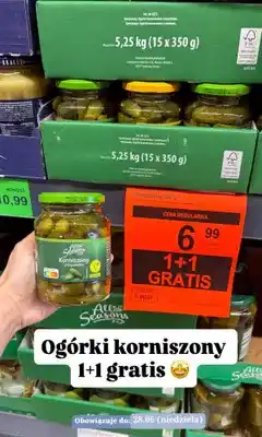 ALDI Korniszony z koperkiem All Seasons oferta