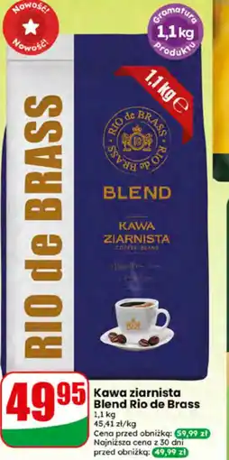 Dino Kawa ziarnista Blend rio de brass oferta