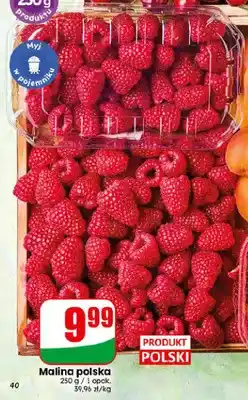 Dino Malina polska oferta