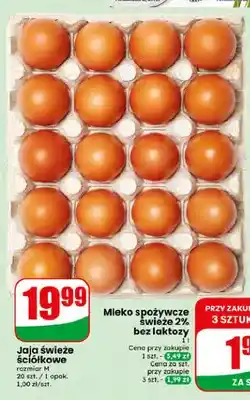 Dino Jaja świeże ściółkowe oferta