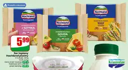 Dino Ser topiony Hochland plastry z szynką oferta