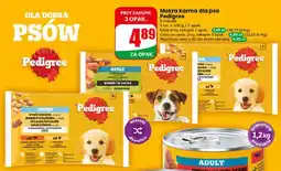 Dino Mokra karma dla psa Pedigree Adult w sosie 4-pak oferta