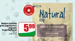 Dino Mokra karma dla psa jagnięcina jagoda Pupil Natural oferta