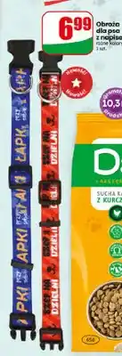 Dino Obroża dla psa z napisem oferta