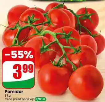 Dino Pomidor oferta