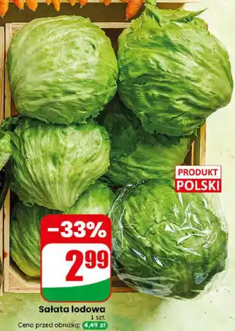 Dino Sałata lodowa oferta