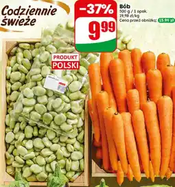 Dino Bób oferta