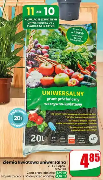 Dino Ziemia kwiatowa uniwersalna oferta