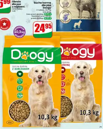 Dino Sucha karma dla psa Doogy oferta