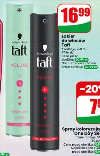 Dino Lakier do włosów Taft oferta