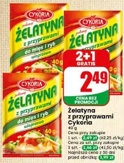Dino Żelatyna z przyprawami Cykoria oferta