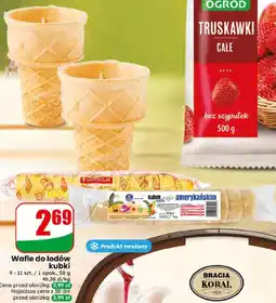 Dino Wafle do lodów kubki oferta