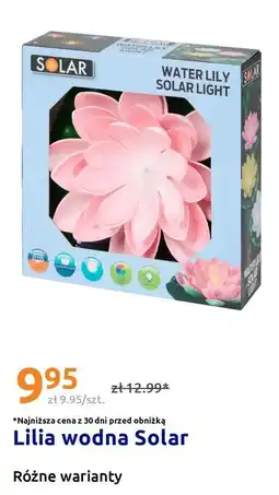 Action Lilia wodna Solar oferta