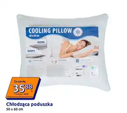 Action Chłodząca poduszka oferta