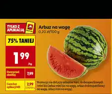 Biedronka Arbuz na wagę oferta