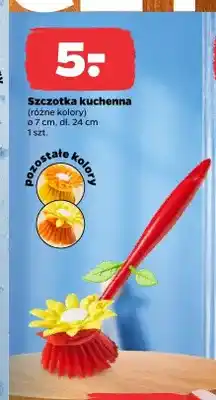 Netto Szczotka kuchenna oferta