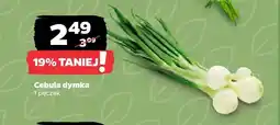 Netto Cebula dymka oferta