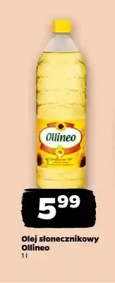Netto Olej słonecznikowy Ollineo oferta