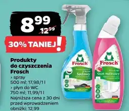 Netto Spray do czyszczenia Frosch sodowy oferta