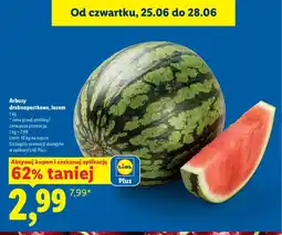 Lidl Arbuz drobnopestkowy luzem oferta
