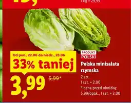 Lidl Minisałata rzymska polska oferta