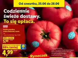 Lidl Pomidory malinowe Jedyne polskie luzem oferta