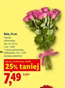 Lidl Róże 11-pak oferta