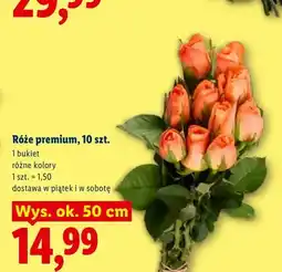 Lidl Róże premium oferta