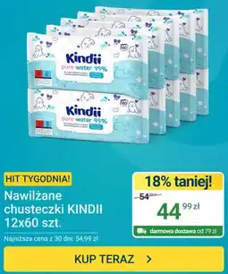 ERLI Chusteczki nawilżane Kindii Pure Water 99% 12-pak 60 szt oferta