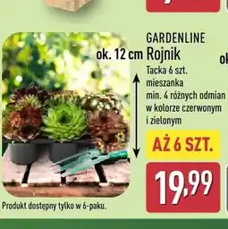 ALDI Rojnik Gardenline oferta