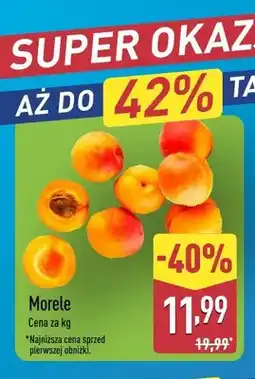 ALDI Morele oferta