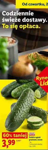 Lidl Polskie ogórki gruntowe, luzem oferta