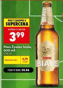 Biedronka Piwo Żywiec białe 500 ml oferta