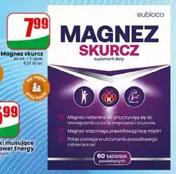 Dino Magnez Skurcz oferta