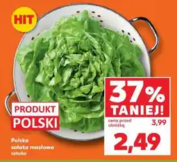 Kaufland Polska sałata masłowa sztuka oferta