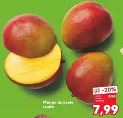 Kaufland Mango dojrzałe sztuka oferta