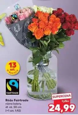 Kaufland Róże Fairtrade oferta