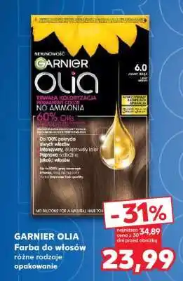 Kaufland GARNIER Olia oferta