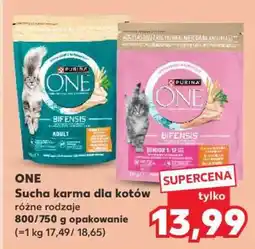 Kaufland ONE Sucha karma dla kotów oferta