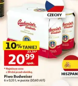 Auchan Piwo Budweiser oferta