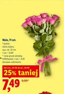 Lidl Róże, 11 szt oferta