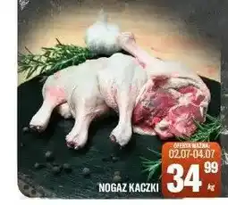TomiMarkt Nogaz kaczki oferta
