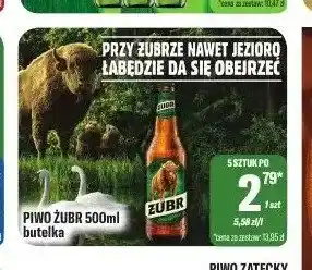 TomiMarkt Piwo Żubr oferta