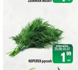TomiMarkt Koperek pęczek oferta