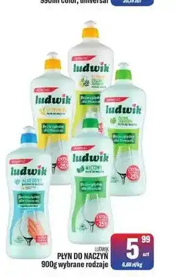TomiMarkt Płyn do naczyń Ludwik oferta